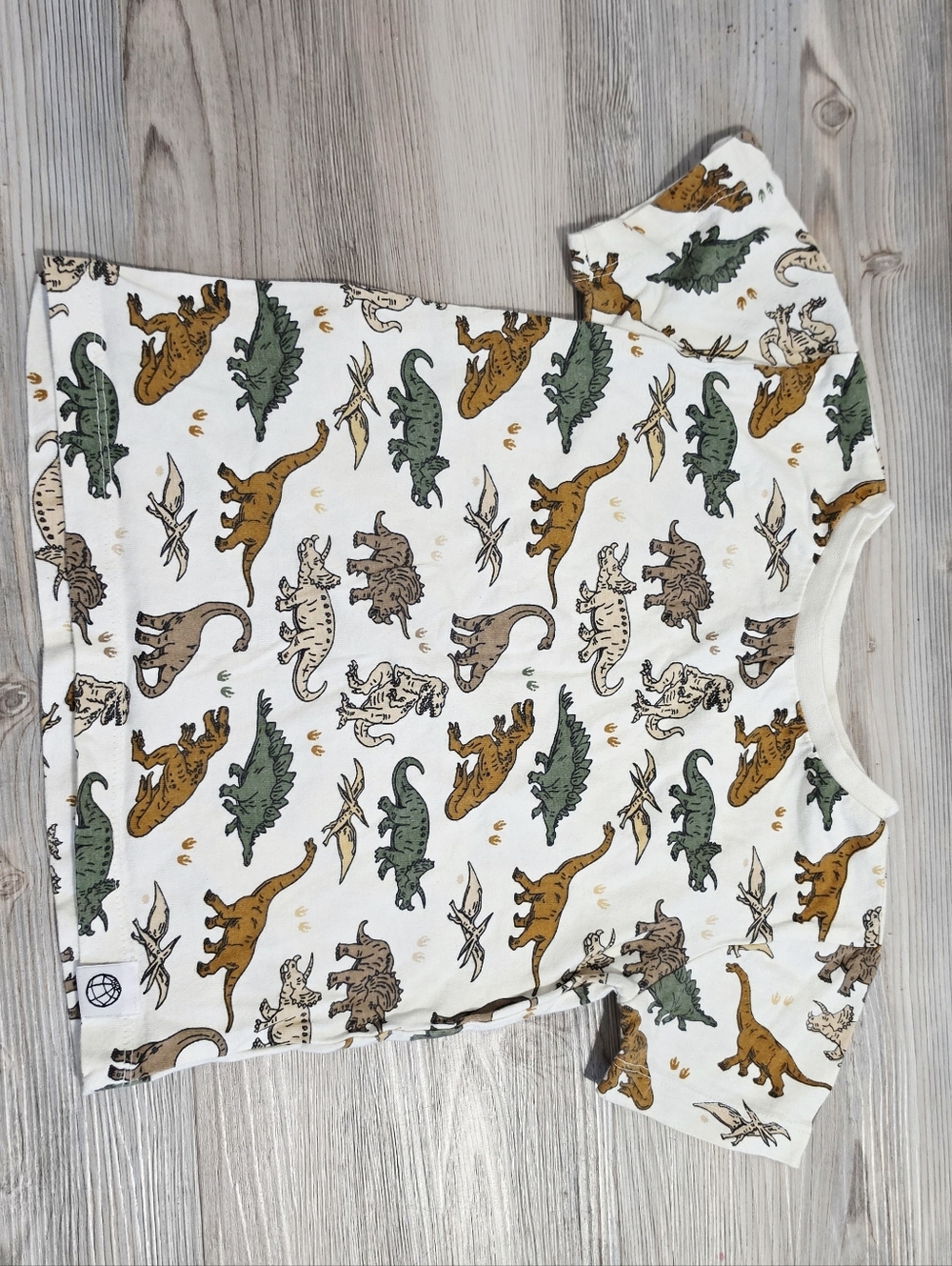 Free Planet Toddler Boys Dinosaur T-shirt Size 2t